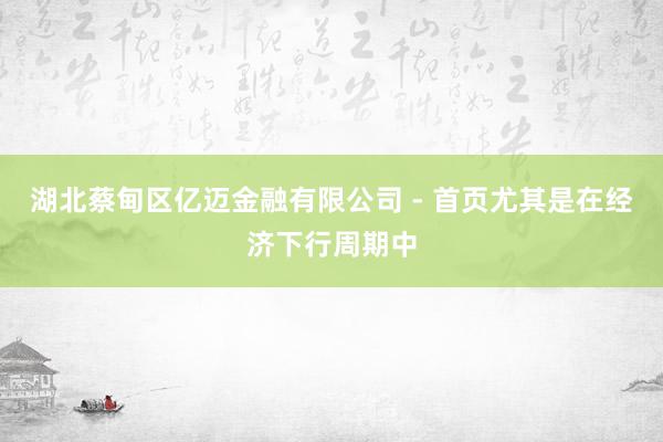 湖北蔡甸区亿迈金融有限公司 - 首页尤其是在经济下行周期中